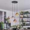Ripoll Hanglamp, Kogellampje, Cluster hanglamp Chroom, Goud, Duidelijk, Koperkleurig, Rookkleurig, 3-lichts