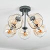 Ripoll Plafondlamp, Kogellampje Amber, Duidelijk, 5-lichts