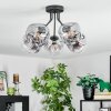Ripoll Plafondlamp, Kogellampje Duidelijk, Rookkleurig, 5-lichts