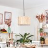 Bongal Hanglamp, Hanglamp Bruin, Natuurlijke kleuren, 1-licht
