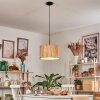 Bongal Hanglamp, Hanglamp Bruin, Natuurlijke kleuren, 1-licht