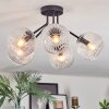 Ripoll Plafondlamp, Kogellampje Duidelijk, 5-lichts