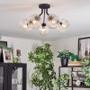 Ripoll Plafondlamp, Kogellampje Duidelijk, 5-lichts