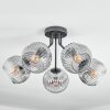 Ripoll Plafondlamp, Kogellampje Duidelijk, Rookkleurig, 5-lichts