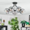 Ripoll Plafondlamp, Kogellampje Duidelijk, Rookkleurig, 5-lichts