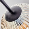 Ripoll Plafondlamp, Kogellampje Amber, Duidelijk, 5-lichts