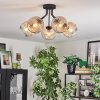 Ripoll Plafondlamp, Kogellampje Amber, Duidelijk, 5-lichts