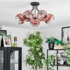 Ripoll Plafondlamp, Kogellampje Duidelijk, Koperkleurig, 5-lichts
