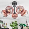 Ripoll Plafondlamp, Kogellampje Duidelijk, Koperkleurig, 5-lichts