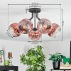 Ripoll Plafondlamp, Kogellampje Duidelijk, Koperkleurig, 5-lichts