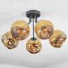 Ripoll Plafondlamp, Kogellampje Goud, 5-lichts