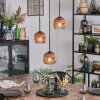 Ripoll Hanglamp, Kogellampje, Cluster hanglamp Duidelijk, Koperkleurig, 3-lichts