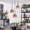 Ripoll Hanglamp, Kogellampje, Cluster hanglamp Duidelijk, Koperkleurig, 3-lichts