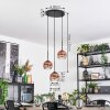 Ripoll Hanglamp, Kogellampje, Cluster hanglamp Duidelijk, Koperkleurig, 3-lichts