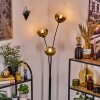 Ripoll Kogellampje, Staande lamp Goud, Duidelijk, 3-lichts