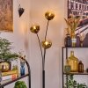 Ripoll Kogellampje, Staande lamp Goud, Duidelijk, 3-lichts