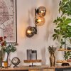 Gastor Kogellampje, Wandlamp Amber, Duidelijk, Rookkleurig, 3-lichts