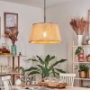 Sabadim Hanglamp, Hanglamp Beige, Natuurlijke kleuren, 1-licht
