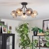 Ripoll Plafondlamp, Kogellampje Amber, Duidelijk, Rookkleurig, 5-lichts