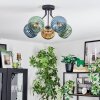 Koyoto Plafondlamp, Kogellampje 52 cm Blauw, Goud, Groen, 5-lichts