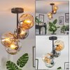 Ripoll Plafondlamp, Kogellampje Amber, Duidelijk, Rookkleurig, 4-lichts