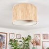 Bongal Plafondlamp Beige, Natuurlijke kleuren, 1-licht