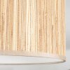 Bongal Plafondlamp Beige, Natuurlijke kleuren, 1-licht