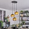 Koyoto Hanglamp, Kogellampje, Cluster hanglamp 30 cm Goud, Duidelijk, 3-lichts