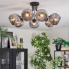 Ripoll Plafondlamp, Kogellampje Rookkleurig, 7-lichts