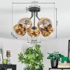 Ripoll Plafondlamp, Kogellampje Goud, Duidelijk, 5-lichts