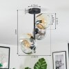 Ripoll Plafondlamp, Kogellampje Amber, Duidelijk, Rookkleurig, 4-lichts