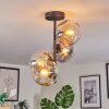 Ripoll Plafondlamp, Kogellampje Amber, Duidelijk, Rookkleurig, 4-lichts