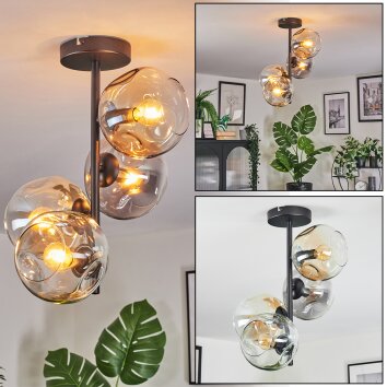Ripoll Plafondlamp, Kogellampje Amber, Duidelijk, Rookkleurig, 4-lichts