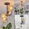 Ripoll Plafondlamp, Kogellampje Amber, Duidelijk, Rookkleurig, 4-lichts