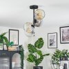 Ripoll Plafondlamp, Kogellampje Amber, Duidelijk, Rookkleurig, 4-lichts