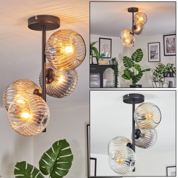 Ripoll Plafondlamp, Kogellampje Amber, Duidelijk, Rookkleurig, 4-lichts