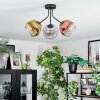 Ripoll Plafondlamp, Kogellampje Goud, Duidelijk, Koperkleurig, Rookkleurig, 3-lichts