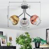 Ripoll Plafondlamp, Kogellampje Goud, Duidelijk, Koperkleurig, Rookkleurig, 3-lichts
