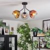 Ripoll Plafondlamp, Kogellampje Goud, Duidelijk, Koperkleurig, Rookkleurig, 3-lichts
