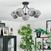 Ripoll Plafondlamp, Kogellampje Rookkleurig, 5-lichts