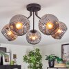 Ripoll Plafondlamp, Kogellampje Rookkleurig, 5-lichts