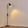 Terwispel Staande lamp Antraciet, Grijs, Zwart, 1-licht