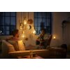 Philips LED E27 4 Watt 1800 Kelvin 250 Lumen