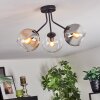 Koyoto Plafondlamp, Kogellampje 42 cm Amber, Duidelijk, Rookkleurig, 3-lichts