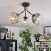 Koyoto Plafondlamp, Kogellampje 42 cm Amber, Duidelijk, Rookkleurig, 3-lichts