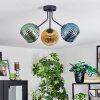 Koyoto Plafondlamp, Kogellampje 42 cm Blauw, Goud, Groen, Duidelijk, 3-lichts