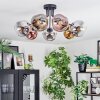 Ripoll Plafondlamp, Kogellampje Chroom, Goud, Duidelijk, Koperkleurig, Rookkleurig, 7-lichts