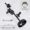 Koyoto Plafondlamp, Kogellampje 32 cm Chroom, Rookkleurig, 4-lichts