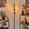 Ripoll Staande lamp Duidelijk, 3-lichts
