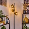 Ripoll Staande lamp Goud, Duidelijk, 3-lichts